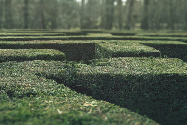 Eine Frage der Orientierung.