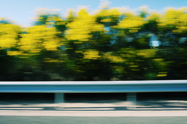 In lebendiger Gesellschaft.